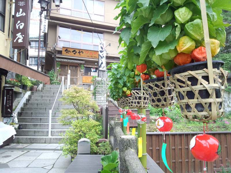 夏の風物詩「ほおずき」がお出迎え！