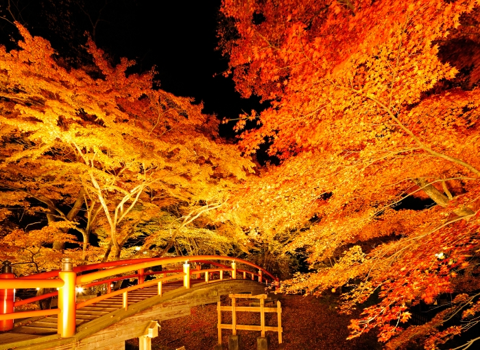 年 河鹿橋紅葉ライトアップ 10月27日 11月15日 11月9日現在の紅葉情報 群馬県伊香保温泉 おもてなしの宿 美松館 公式サイト