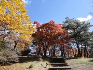 上ノ山公園2014.11.3-1