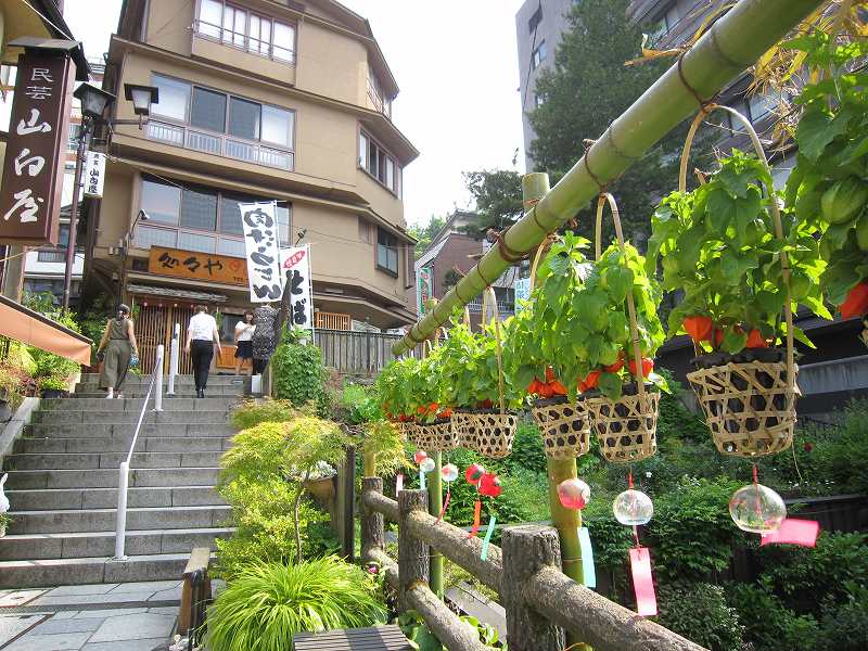 夏の風物詩「ほおずき」がお出迎え！