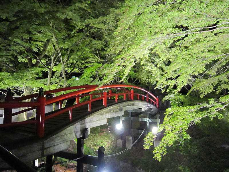 湯元『河鹿橋』の「新緑ライトアップ」が始まりました！